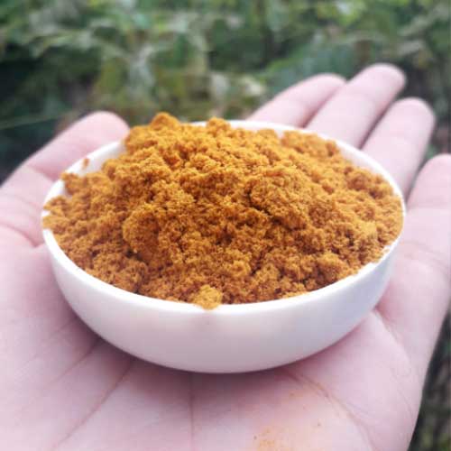 View Kasthuri Turmeric Powder - 100g image