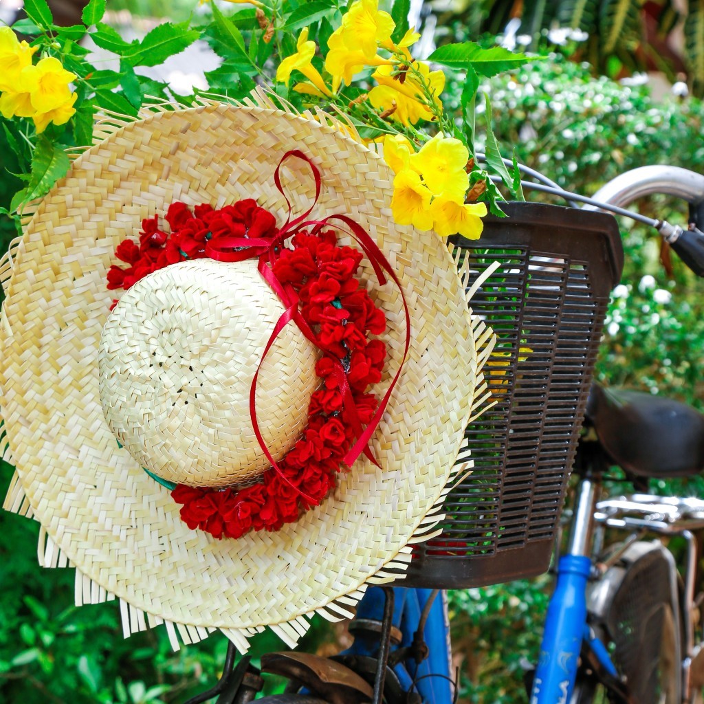 View Palm Hat image