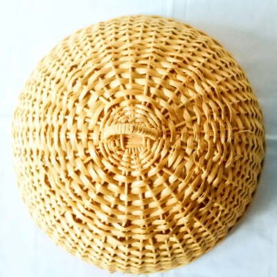 View Cane Food Cover image